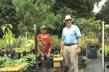 JB Friday showing tree seedlings